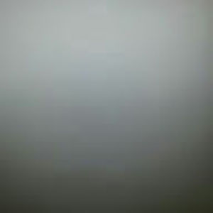 Meet your Posher, Tamara